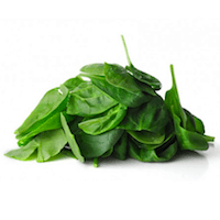 cp-spinach